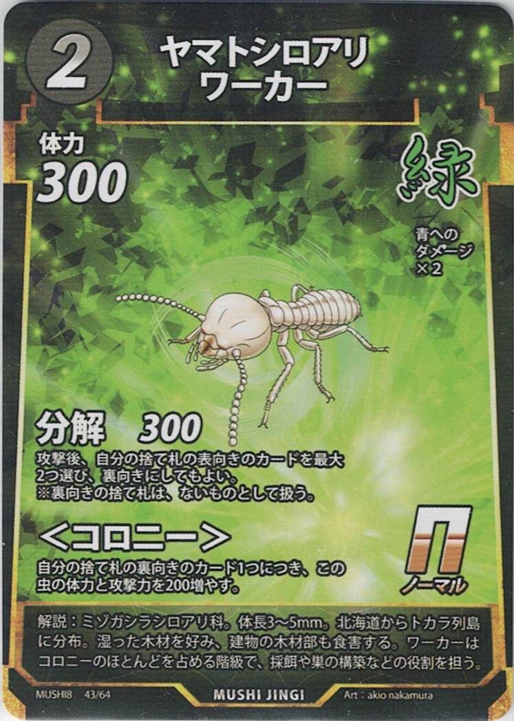 MUSHI8-043 N ヤマトシロアリワーカー